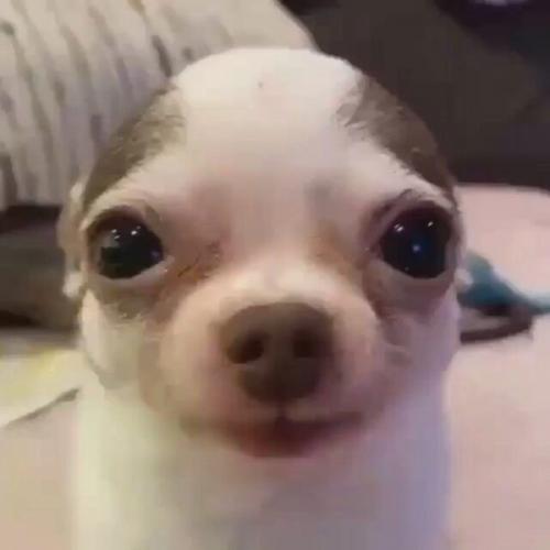 สมาชิกหมายเลข 8418604