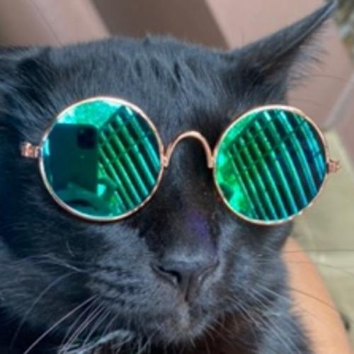 สมาชิกหมายเลข 5871516