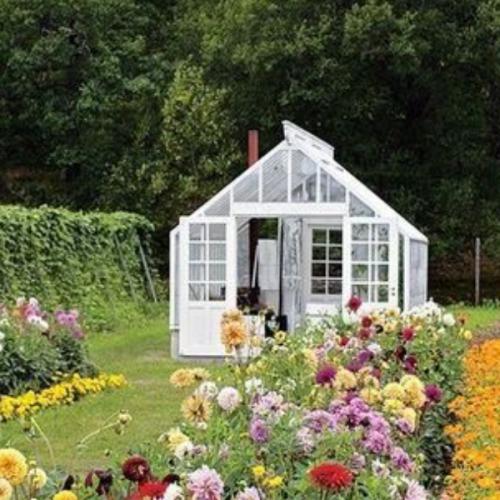 สมาชิกหมายเลข 6192039