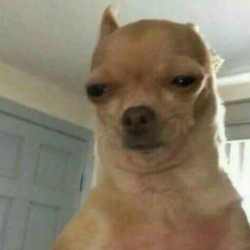 สมาชิกหมายเลข 6198405