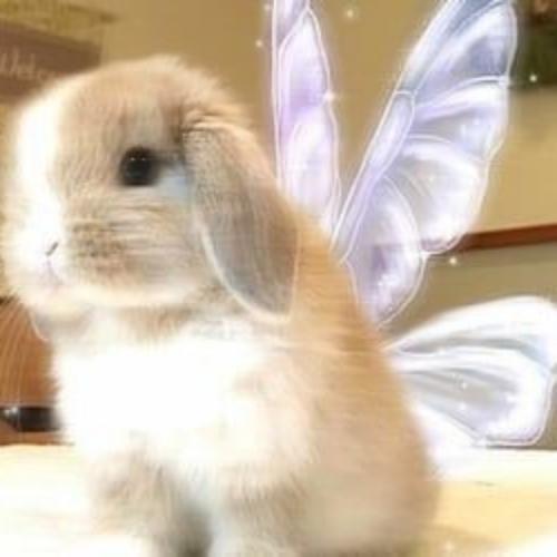 สมาชิกหมายเลข 6843618