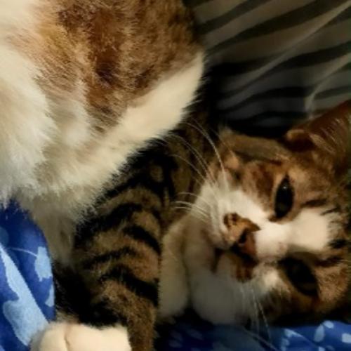 สมาชิกหมายเลข 1628567