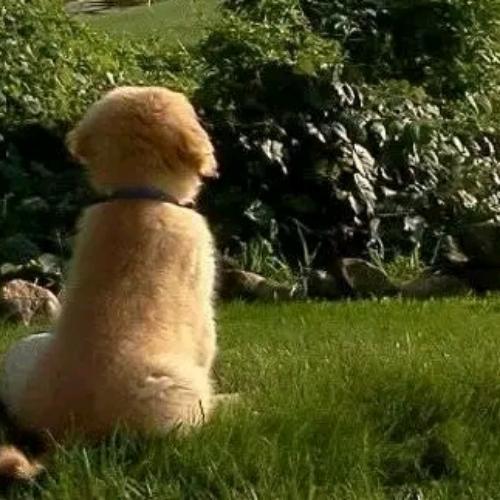 สมาชิกหมายเลข 942069