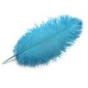 ขนนกสีคราม