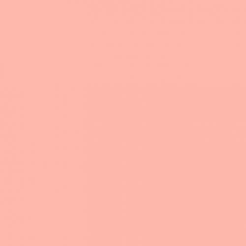 สมาชิกหมายเลข 3156916