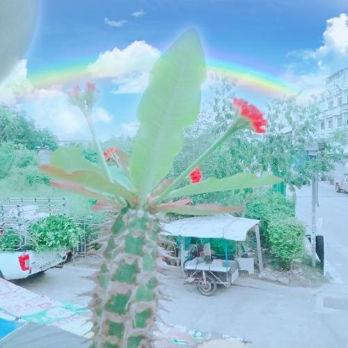 สมาชิกหมายเลข 4471336