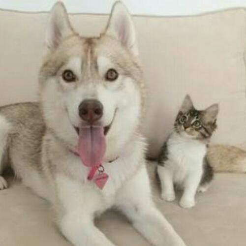 สมาชิกหมายเลข 4828164