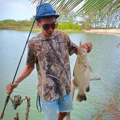 สมาชิกหมายเลข 5209047