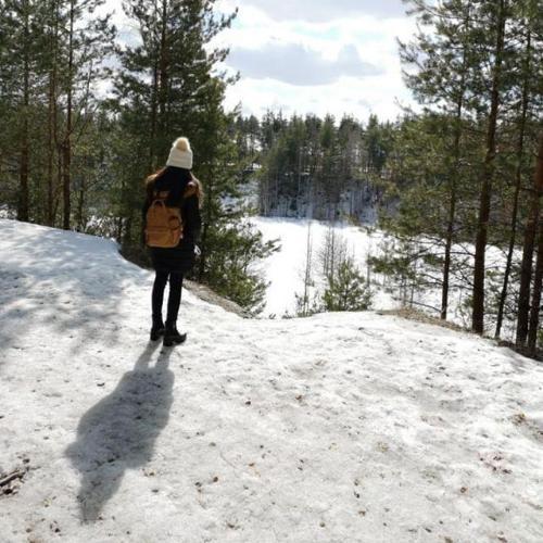 สมาชิกหมายเลข 5213439