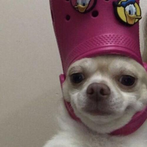 สมาชิกหมายเลข 5531324