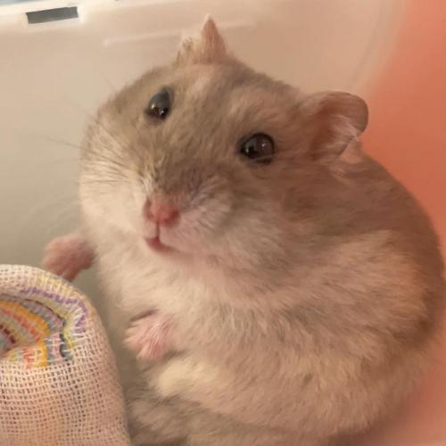 สมาชิกหมายเลข 6198936