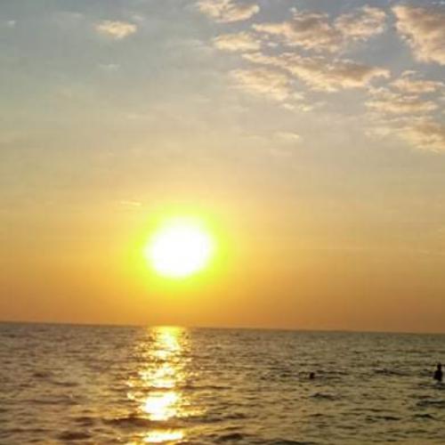 สมาชิกหมายเลข 5987219