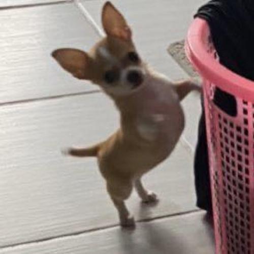 สมาชิกหมายเลข 6463342