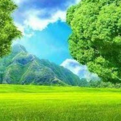 สมาชิกหมายเลข 6843994