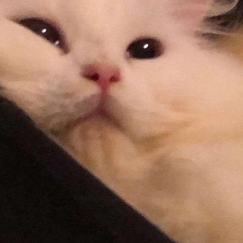 สมาชิกหมายเลข 6844567