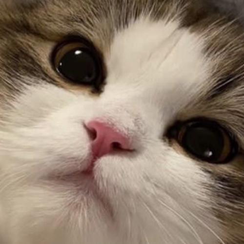 สมาชิกหมายเลข 7612083