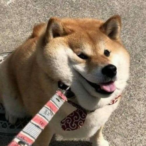 สมาชิกหมายเลข 6440742