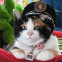 สมาชิกหมายเลข 4036193