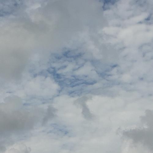 สมาชิกหมายเลข 4828473