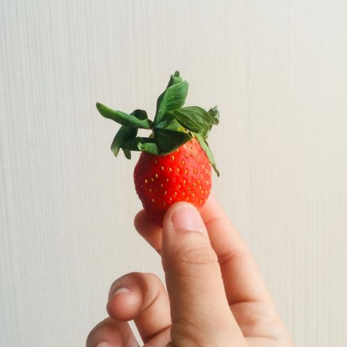 สมาชิกหมายเลข 2618030