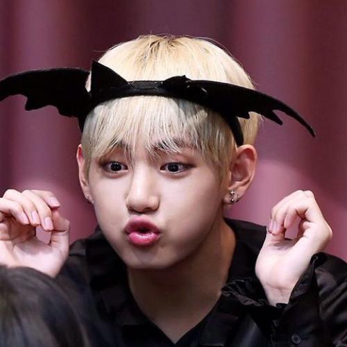 สมาชิกหมายเลข 5213831