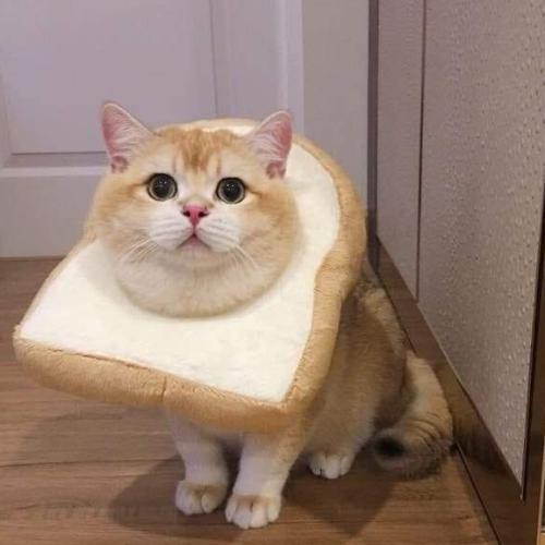 สมาชิกหมายเลข 5627919