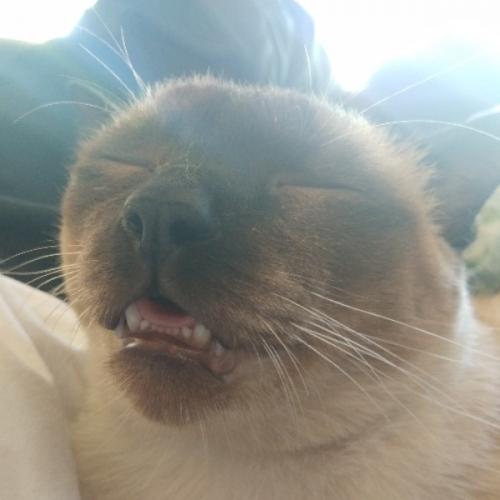 สมาชิกหมายเลข 5631198