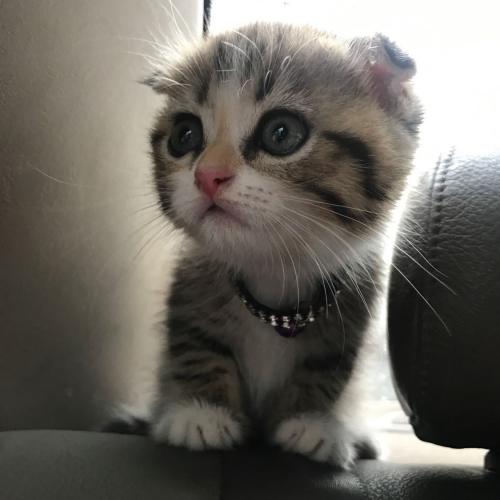 สมาชิกหมายเลข 6199510