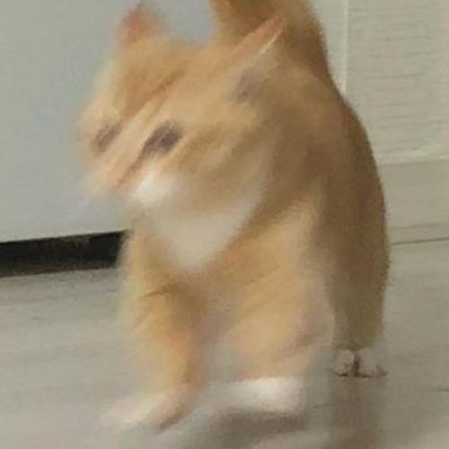 สมาชิกหมายเลข 6841430