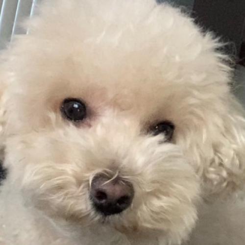 สมาชิกหมายเลข 6844858