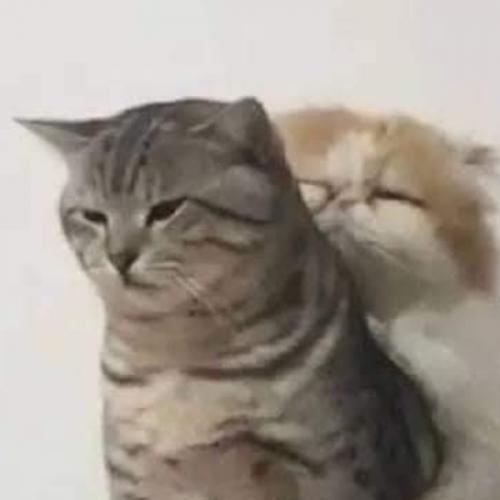 สมาชิกหมายเลข 7612743