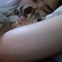 สมาชิกหมายเลข 2093082