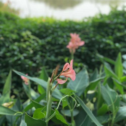 สมาชิกหมายเลข 1624038