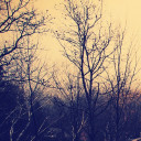 สมาชิกหมายเลข 3448758