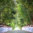 สมาชิกหมายเลข 5002396