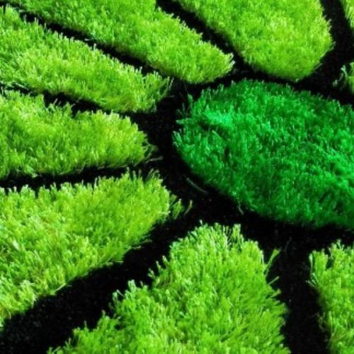 สมาชิกหมายเลข 2474632