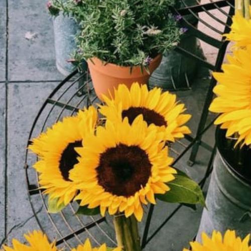 สมาชิกหมายเลข 3234597