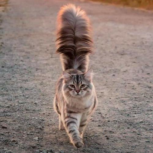 สมาชิกหมายเลข 5598477