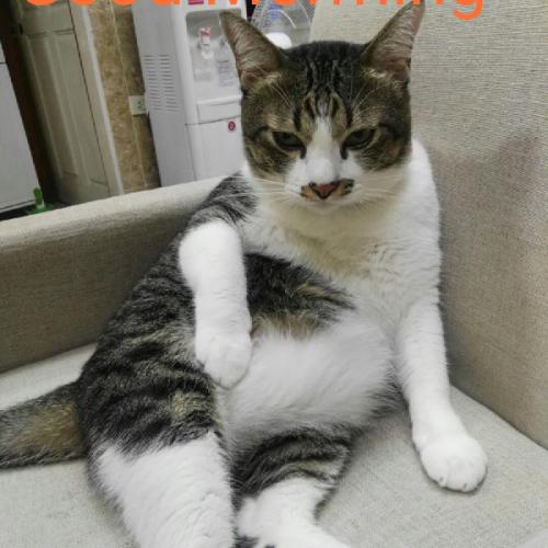 สมาชิกหมายเลข 5115657