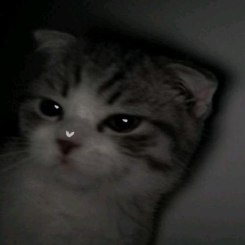 สมาชิกหมายเลข 6845697