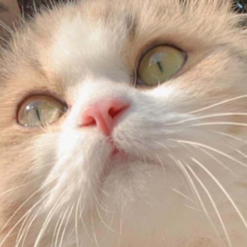 สมาชิกหมายเลข 5554426