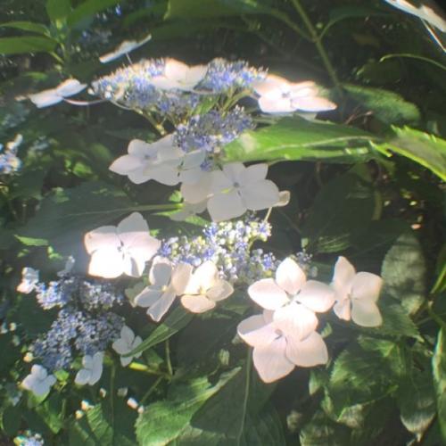 สมาชิกหมายเลข 5604977