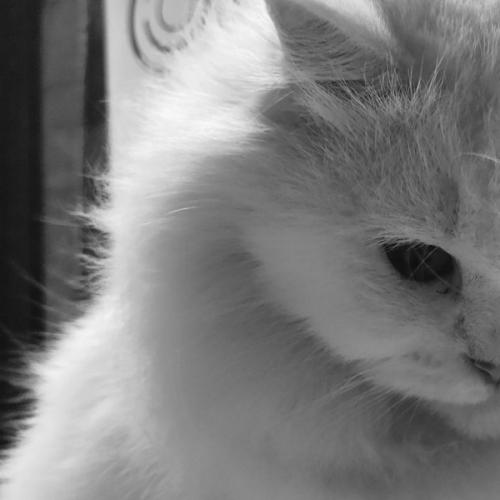 สมาชิกหมายเลข 6989117