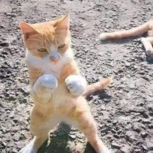 สมาชิกหมายเลข 7613457