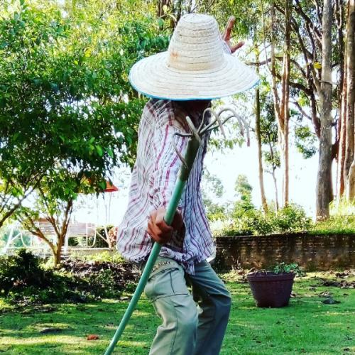 สมาชิกหมายเลข 7613676