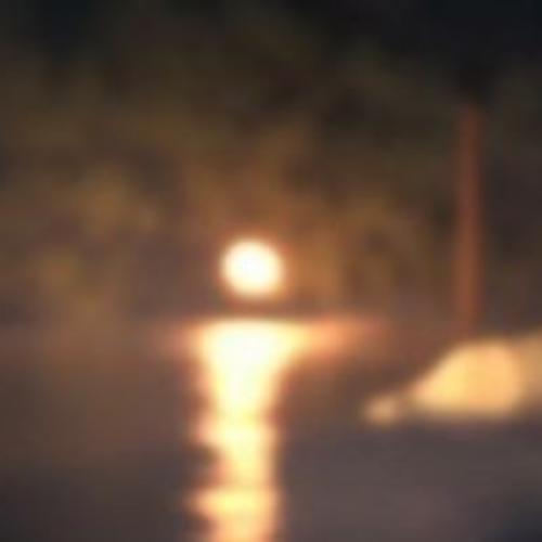 สมาชิกหมายเลข 8544859