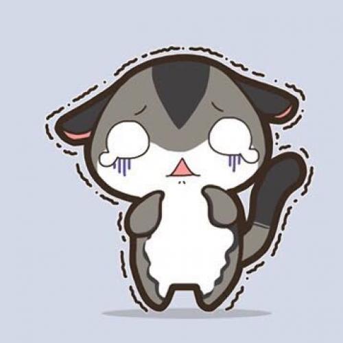 สมาชิกหมายเลข 4037059