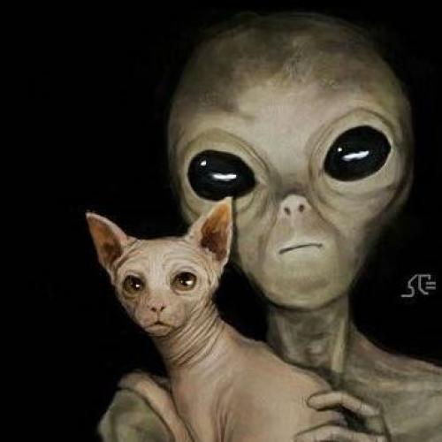 สมาชิกหมายเลข 4496934