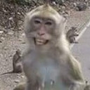 สมาชิกหมายเลข 4812715