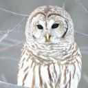 สมาชิกหมายเลข 5214528